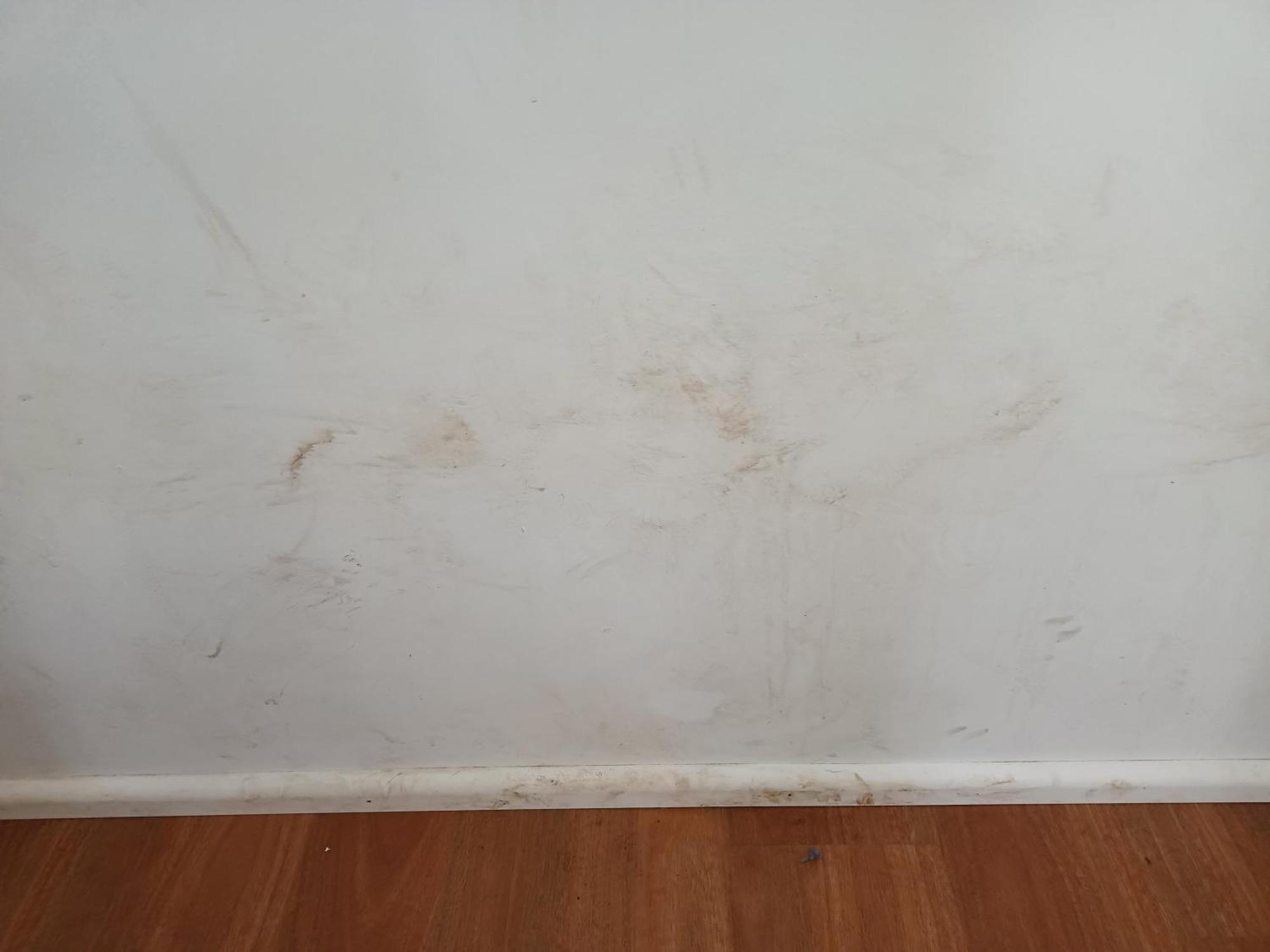 Single Room In Wollongong Near Uni Keiraville Bilik gambar